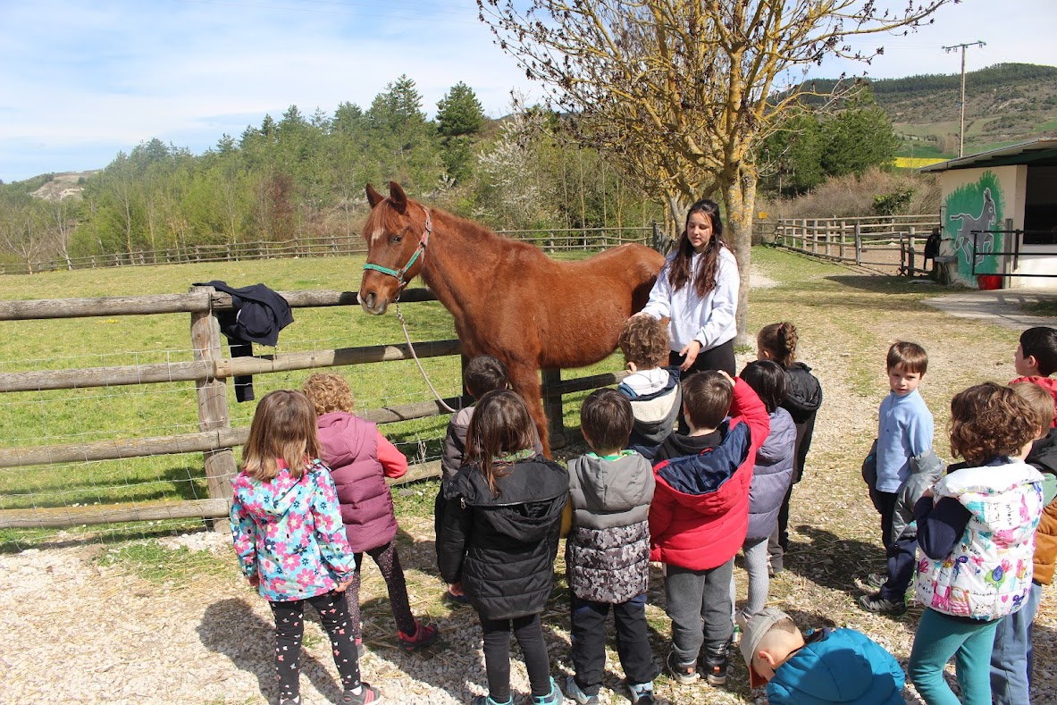 El 11 de abril fuimos a Ilundain los 3 grupos de 2º de Educación Infantil. Allí almorzamos y después por grupos pudimos conocer y tocar a los animales de la granja, ¡e incluso les dimos de comer! ¡Qué a gusto anduvimos!